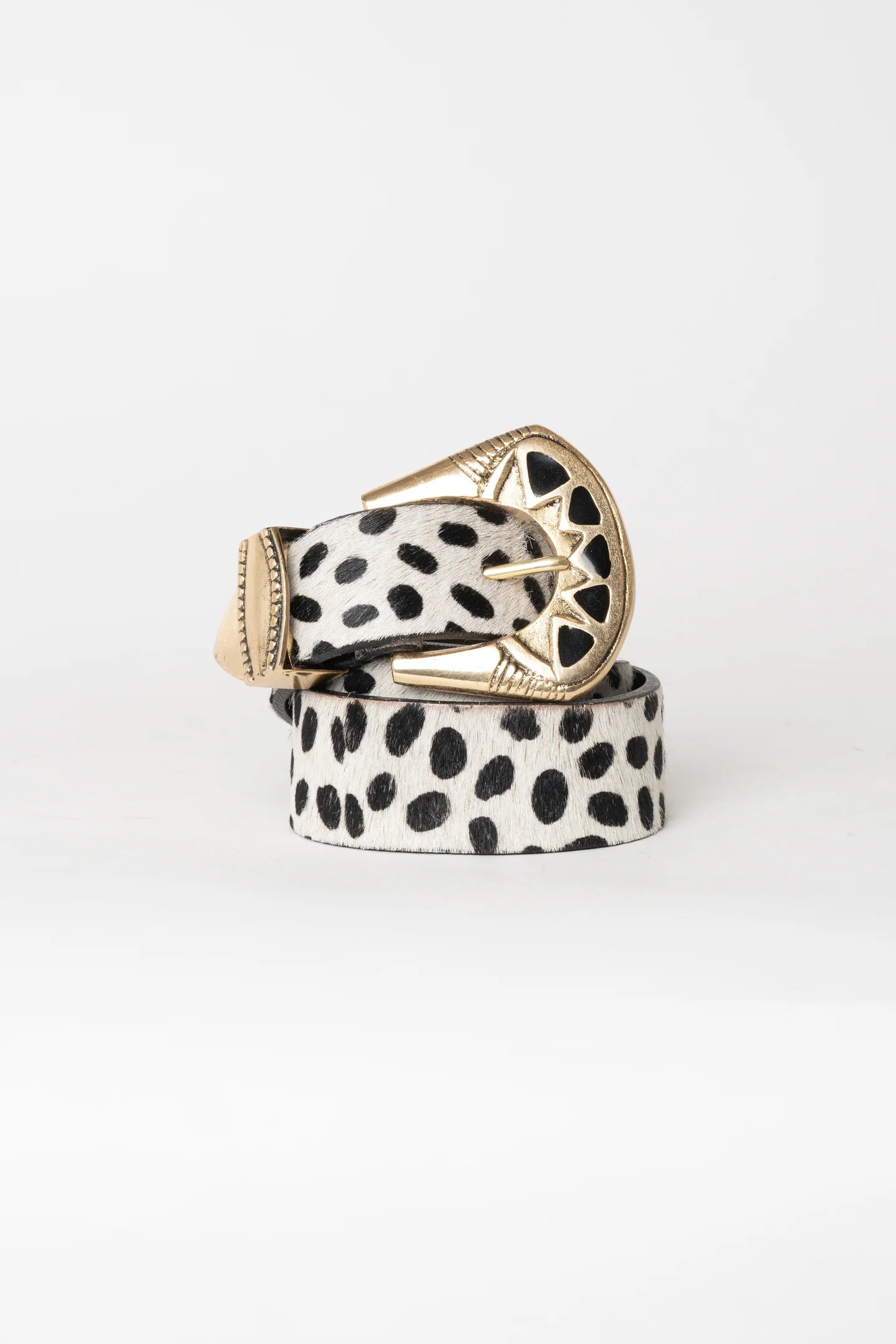 Cinturón Dalmata