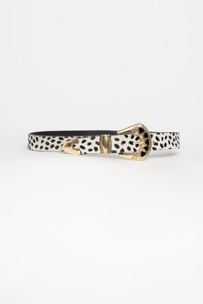 Cinturón Dalmata