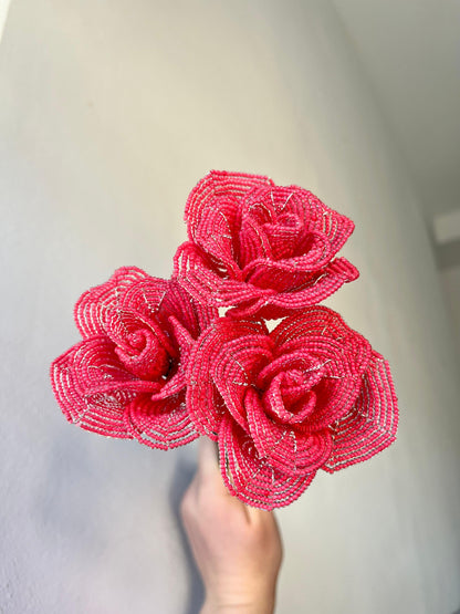 Taller de Rosas de Sant Jordi