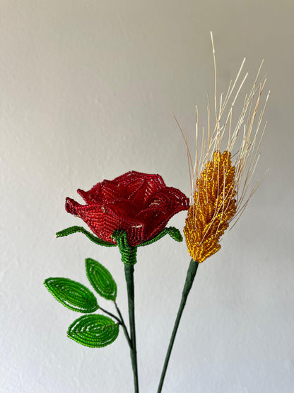 Taller de Rosas de Sant Jordi